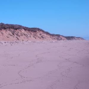 Meet your Posher, Kathi